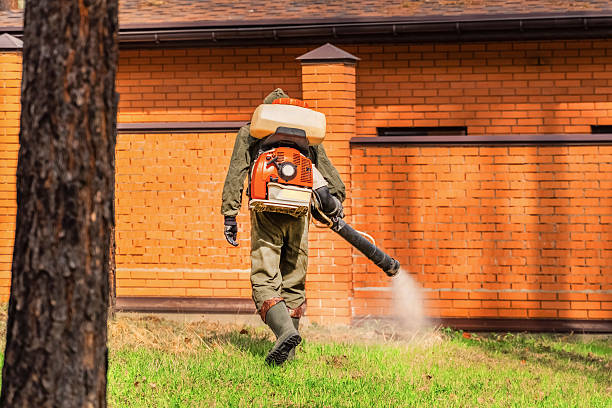 Top rated local Ant Control specialists in Buffalo, WY
